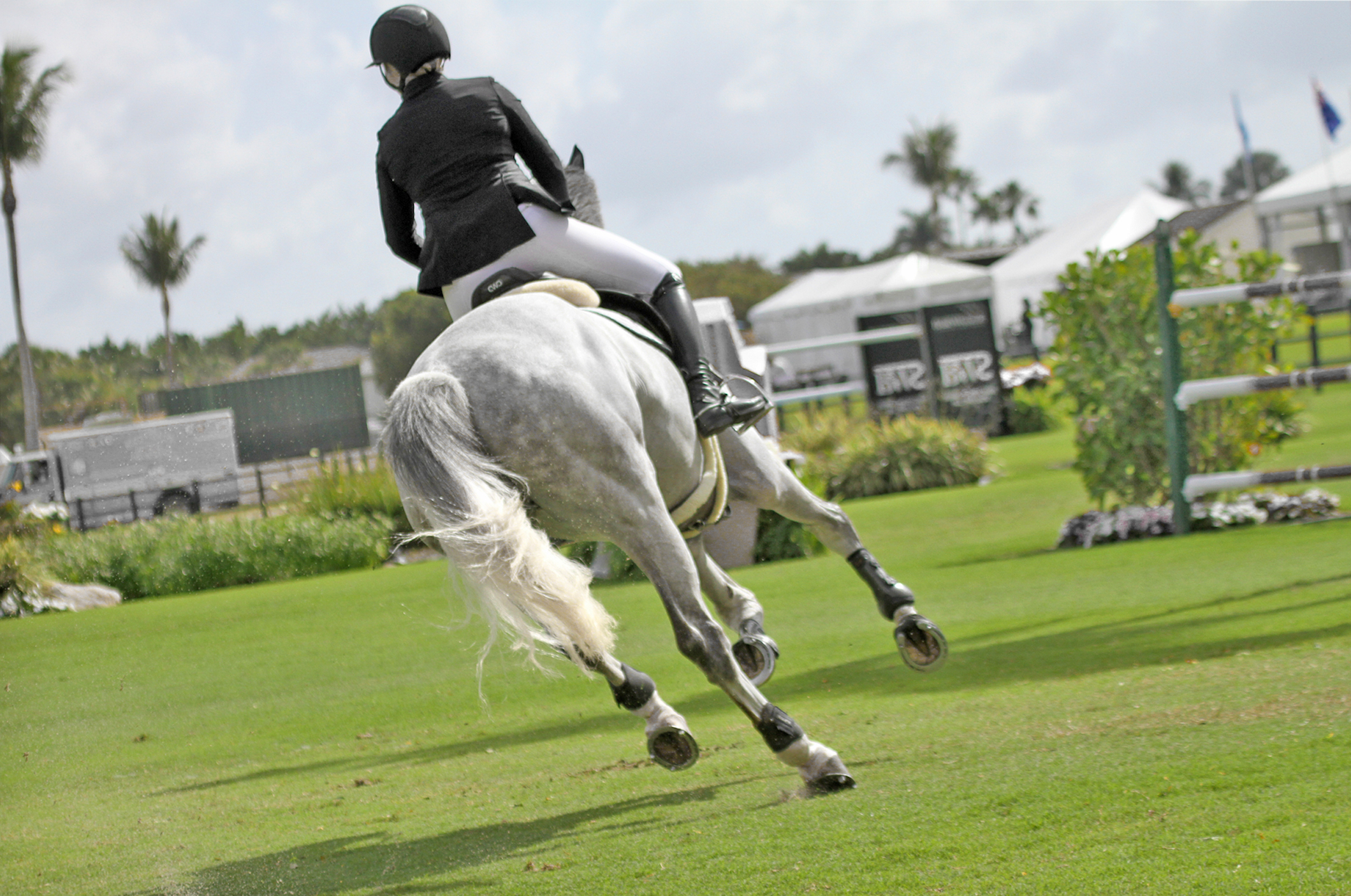 Hunter jumper horse and rider on course