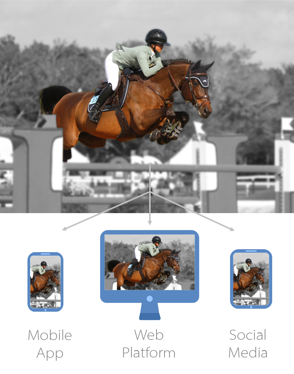 Showcase your horse on multiple
                            platforms